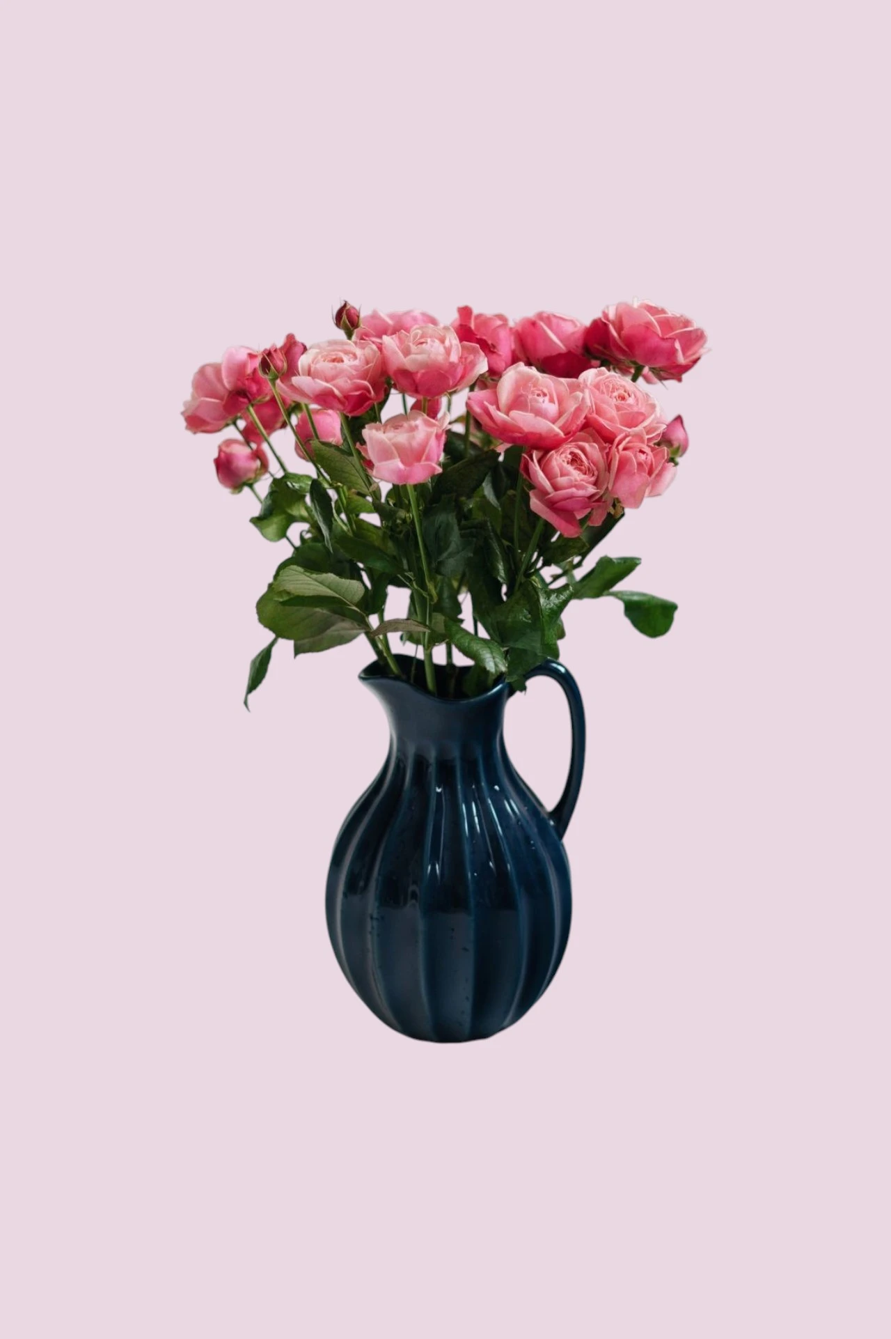 Bouquet Pink Jardin, Maisonkkot Bouquet