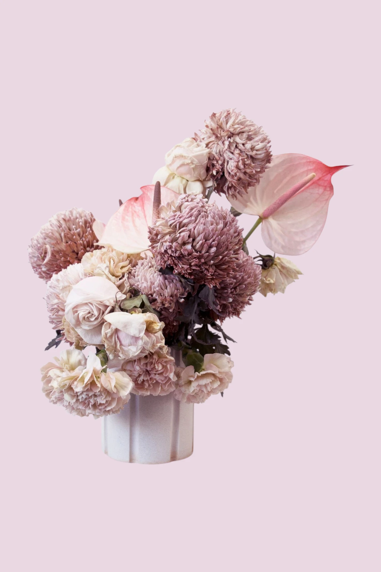 Élégance poudrée, Maisonkkot Bouquet