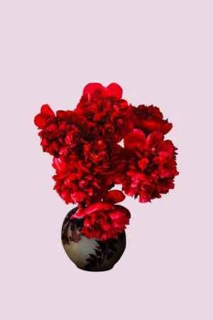 Passion, Maissonkkot Bouquet