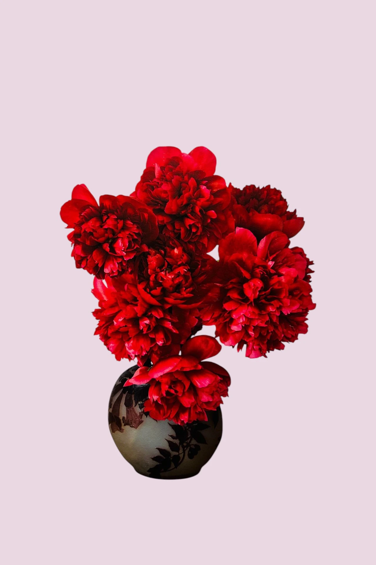Passion, Maissonkkot Bouquet